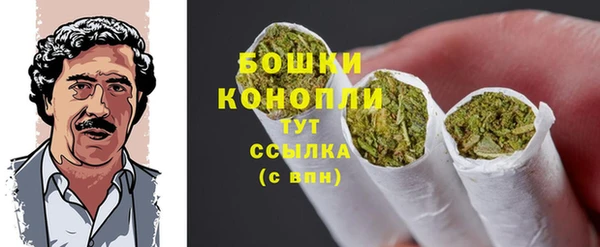 прущие грибы Арсеньев