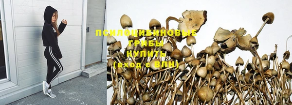прущие грибы Арсеньев